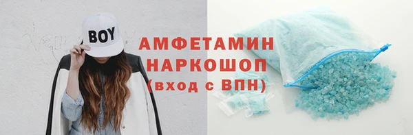 крисы Козельск