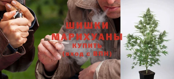 стафф Михайлов