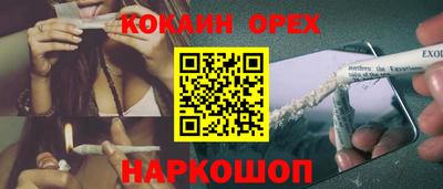 трава Гатчина