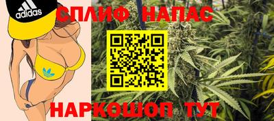 спайс Гагарин