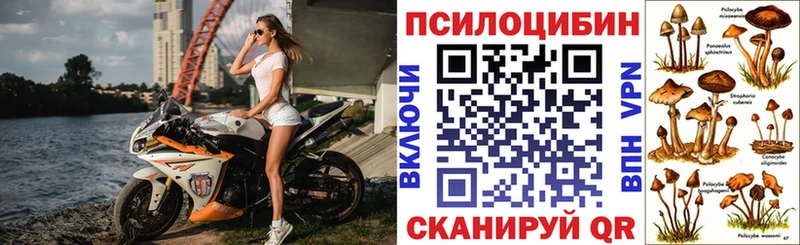 Галлюциногенные грибы Cubensis продажа наркотиков Геленджик