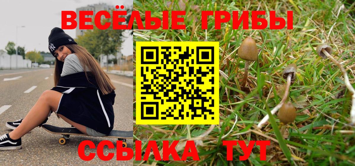 Геленджик  Галлюциногенные грибы Magic Shrooms  Вход с VPN  Псилоцибиновые грибы мухоморы 